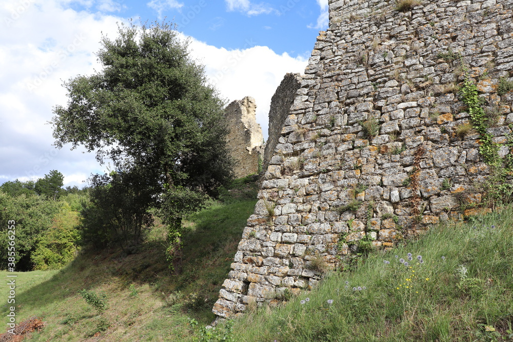 Vestiges du vieux village médiéval de Allan en haut de la colline, ville de Allan, département de la Drôme, France