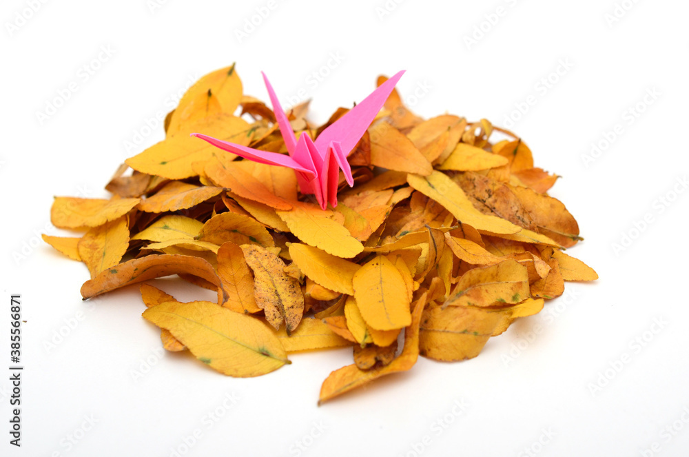 A pink origami bird on leaves A pink origami bird on leaves