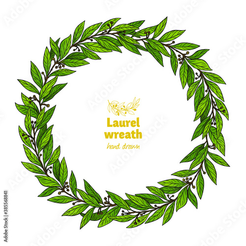 Laurel Bay wreath detailed hand drawn vector illustration 