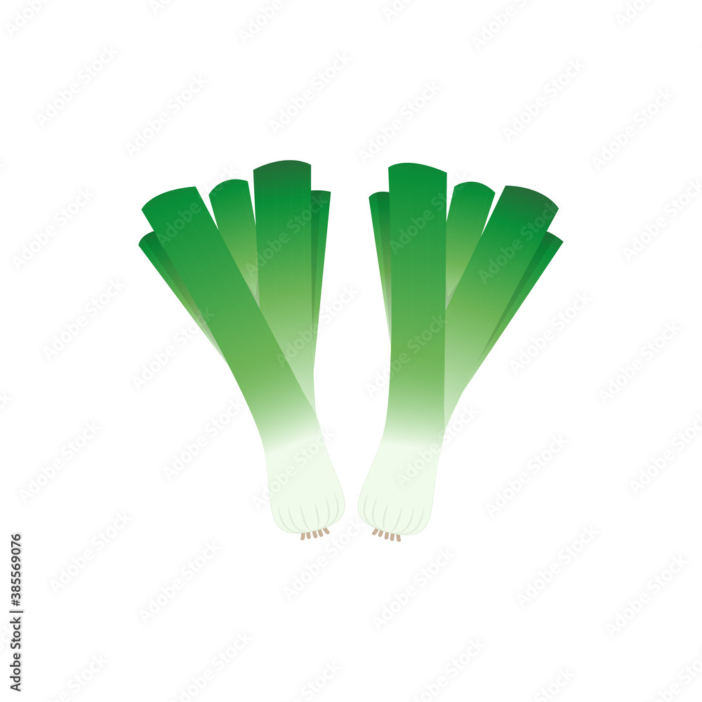 Spring onions vector. Spring onions on white background. Spring onions vector. Spring onions on white background.