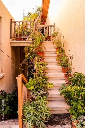 stairway to the house. Steps on which there are many flowers in pots. 