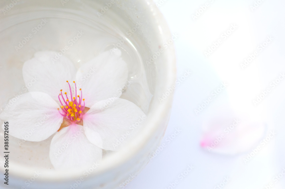 さくらの花びら さくらの花びら