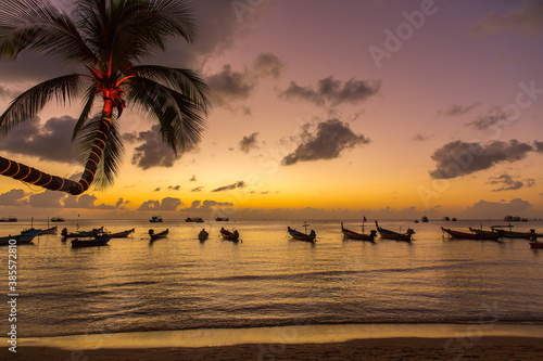 thailand , koh tao, beach life