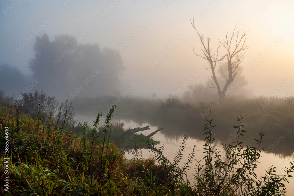 Fototapeta premium Jesień w Dolinie Górnej Narwi, Podlasie, Polska