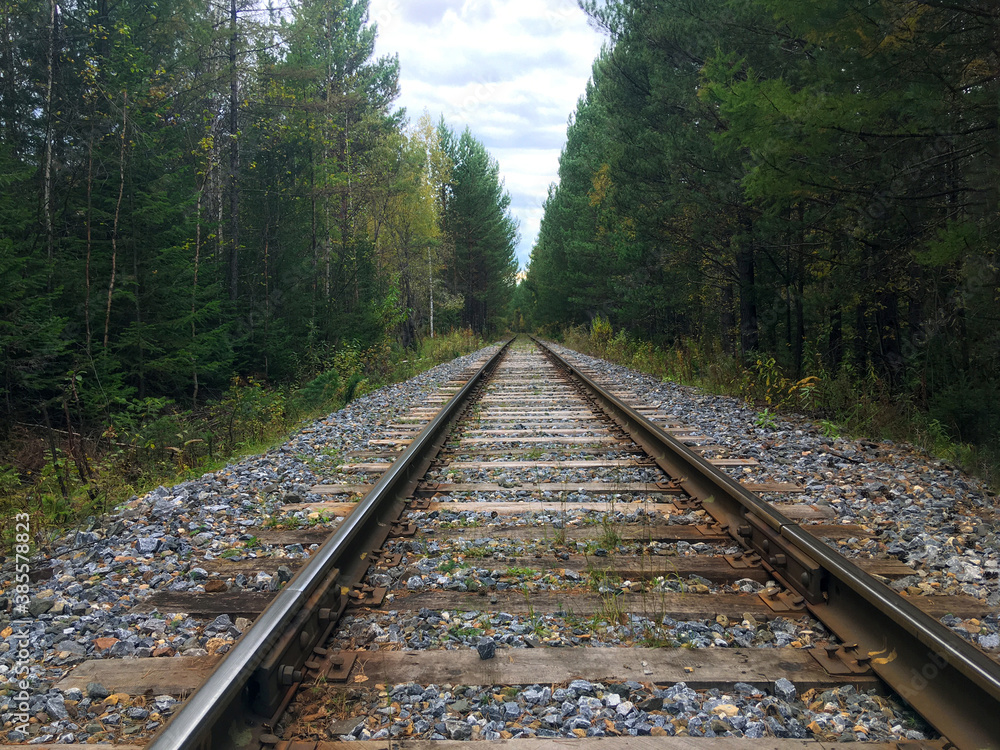 Fototapeta premium Old railroad in the summer forest. Picturesque industrial landscape