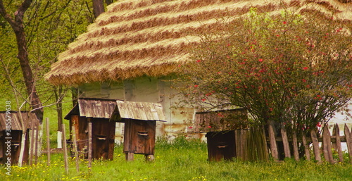 domek na wsi photo