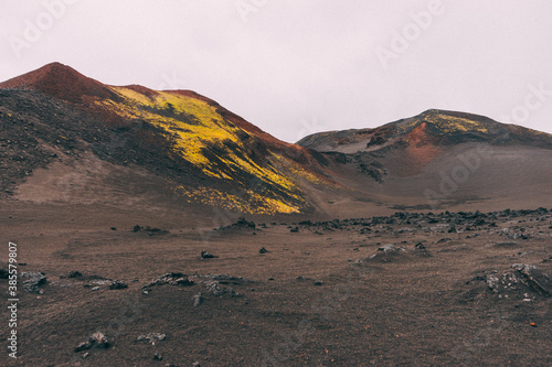 Tierra del Fuego  lava fields in the vicinity of Plosky Tolbachik volcano