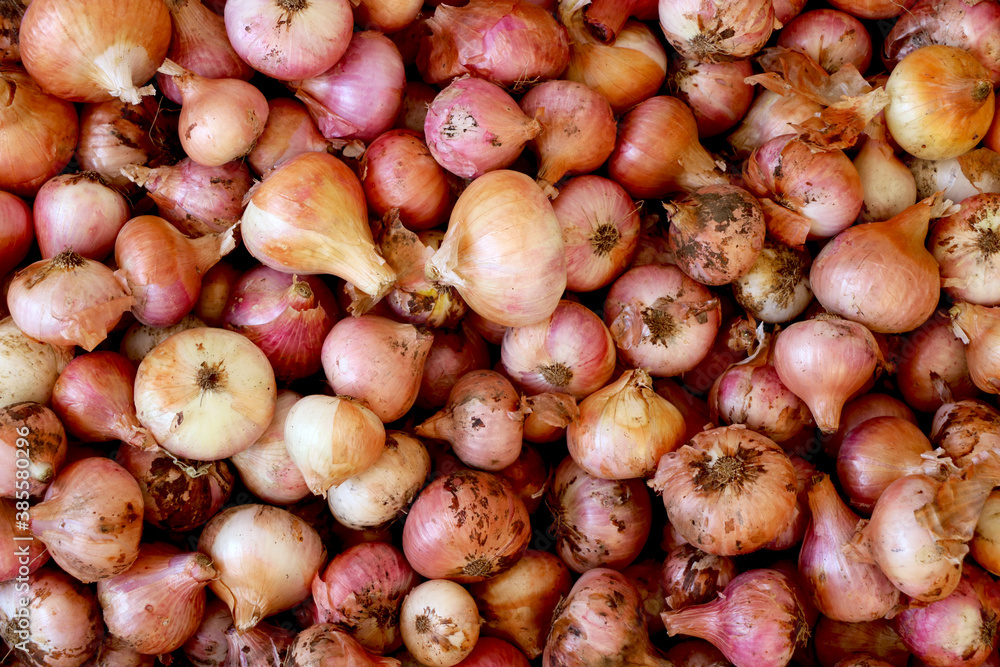 Bunch of new harvest yellow and red onions at local farm market Bunch of new harvest yellow and red onions at local farm market