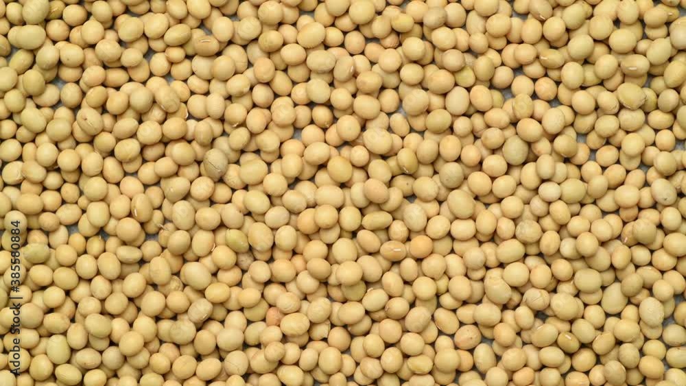 Dry raw soya beans, top view, rotating Dry raw soya beans, top view, rotating