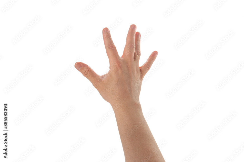 Male hand isolated on white background. Male hand isolated on white background.