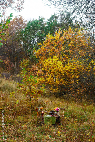 Chocolate fig loaf cake in the autumn forest.style vintage