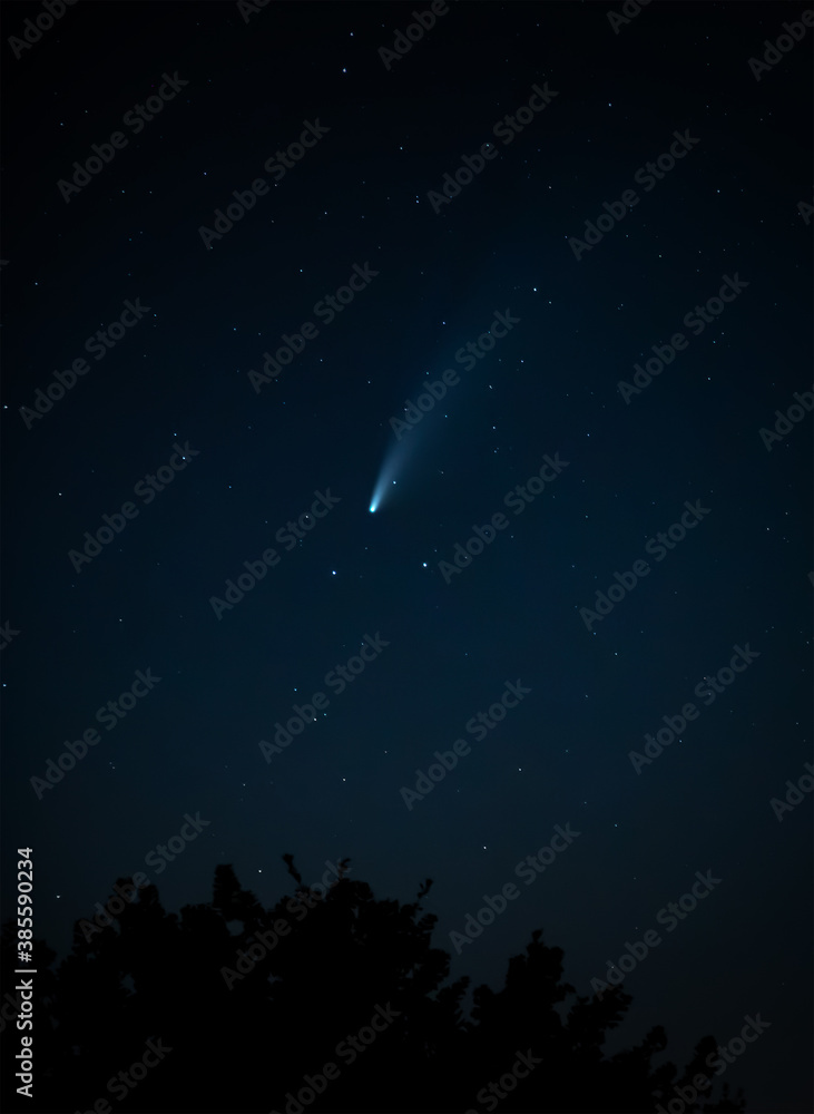 Comet Neowise tracking across the night sky above treetops