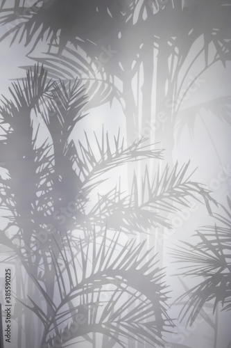 shadow from the leaves of palm trees through the awning.