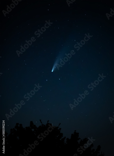 Comet Neowise tracking across the night sky above treetops © pimmimemom