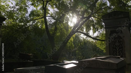 graveeyard under a sparkling sun behind the trees in the pere Lachaise cemetary