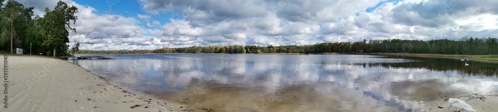 reflection of trees in the water