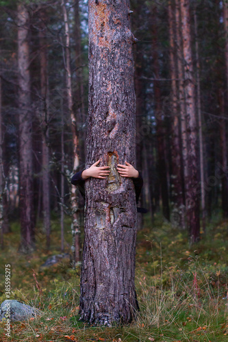 hands hands of a girl boy woman hugging a tree trunk in a forest Park