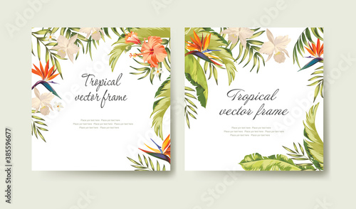 Vector tropical banners set with Palm leaves and exotic flowers. Template for beauty, web, cosmetics  and pack design.