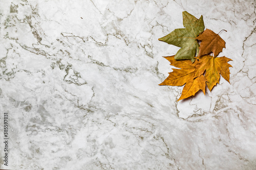 Autumn image/background. Tree leaves, Platanus × hispanica, on marble background. photo