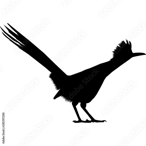 Roadrunner Silhouette Vector