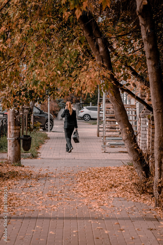 autumn in the city autumn in the city