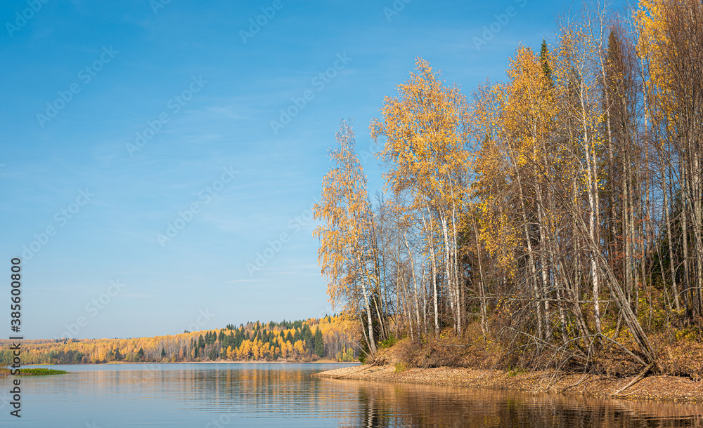 Autumn landscape, a beautiful forest on the banks of the river, the sunlight and the rays through yellow, gold foliage. Bright colors of autumn on the trees. Autumn landscape, a beautiful forest on the banks of the river, the sunlight and the rays through yellow, gold foliage. Bright colors of autumn on the trees.