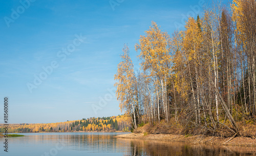 Autumn landscape, a beautiful forest on the banks of the river, the sunlight and the rays through yellow, gold foliage. Bright colors of autumn on the trees.