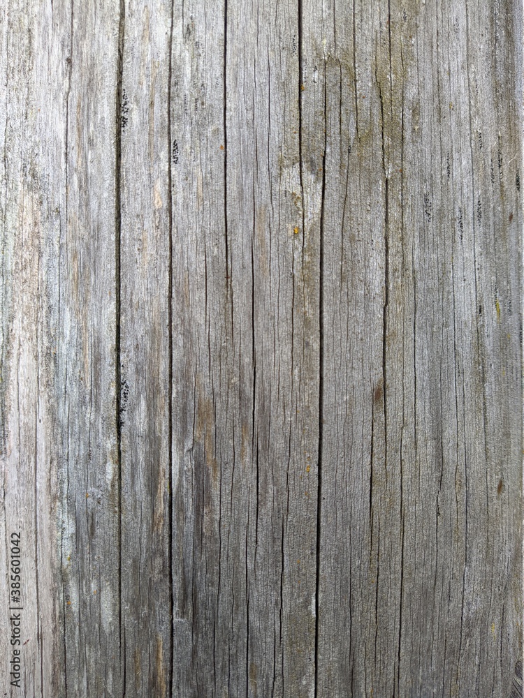 texture and background of old and gray wooden board texture and background of old and gray wooden board