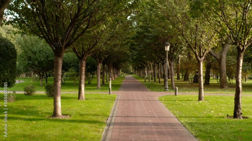 Stone path in the city park among trees with lush foliage and green grass on a sunny evening. Rest and walk in the fresh air. Landscape design Stone path in the city park among trees with lush foliage and green grass on a sunny evening. Rest and walk in the fresh air. Landscape design
