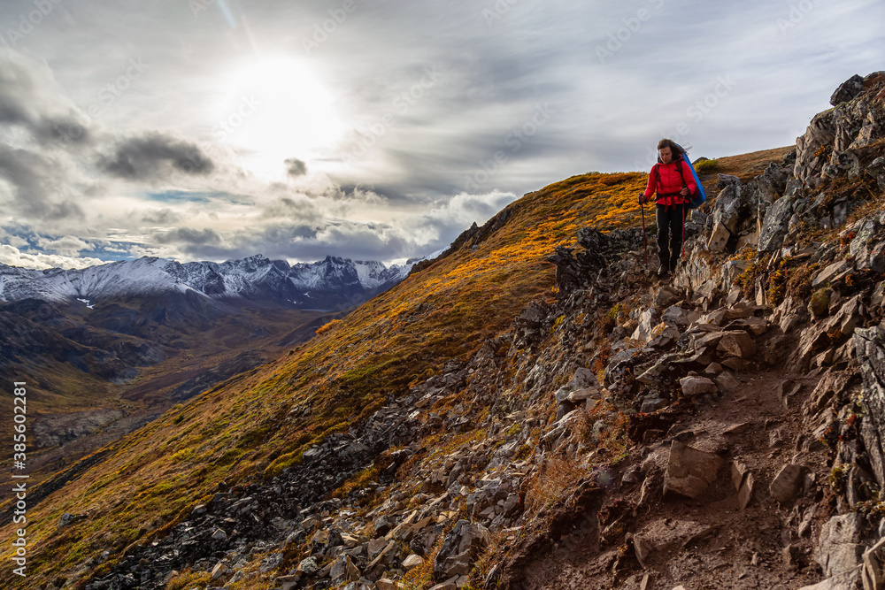 Fototapeta premium Woman Backpacking along Scenic Hiking Trail surrounded by Mountains in Canadian Nature. Season change from Fall to Winter. Taken in Tombstone Territorial Park, Yukon, Canada.