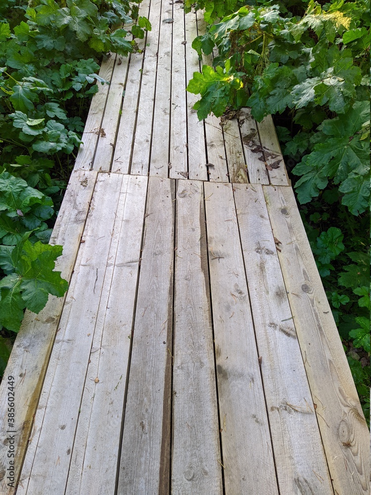 sidewalk in the woods from wooden boards sidewalk in the woods from wooden boards