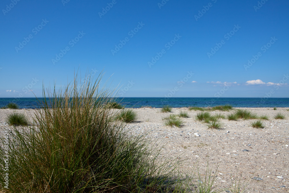 Schleswig-Holstein, Ostseeinsel Fehmarn, Strand Gruener Brink.