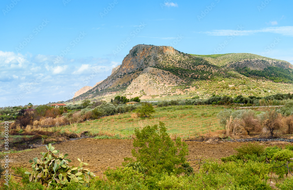 Sicily countryside landscape with field of vineyard and mount, Partinico, province of Palermo, Sicily, Italy