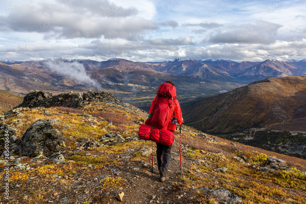 Naklejka premium Woman Backpacking along Scenic Hiking Trail surrounded by Mountains in Canadian Nature. Taken in Tombstone Territorial Park, Yukon, Canada.