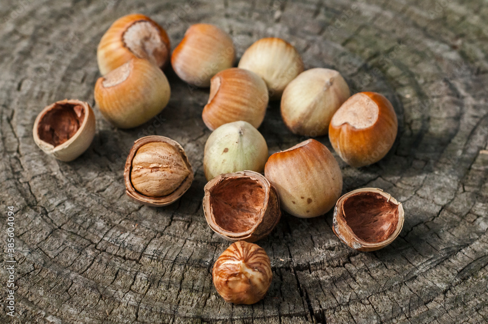 Ripe raw hazelnuts closeup on wooden cut surface background Ripe raw hazelnuts closeup on wooden cut surface background