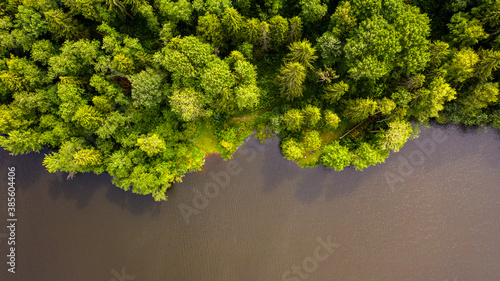  summer top view of the lake shore surrounded by forest
