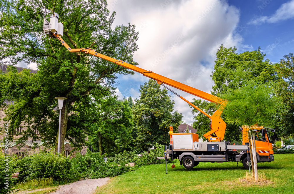 Baumrückschnitt in öffentlichem Park mit Hubsteiger – Tree pruning in a public park with a lifting platform Baumrückschnitt in öffentlichem Park mit Hubsteiger – Tree pruning in a public park with a lifting platform
