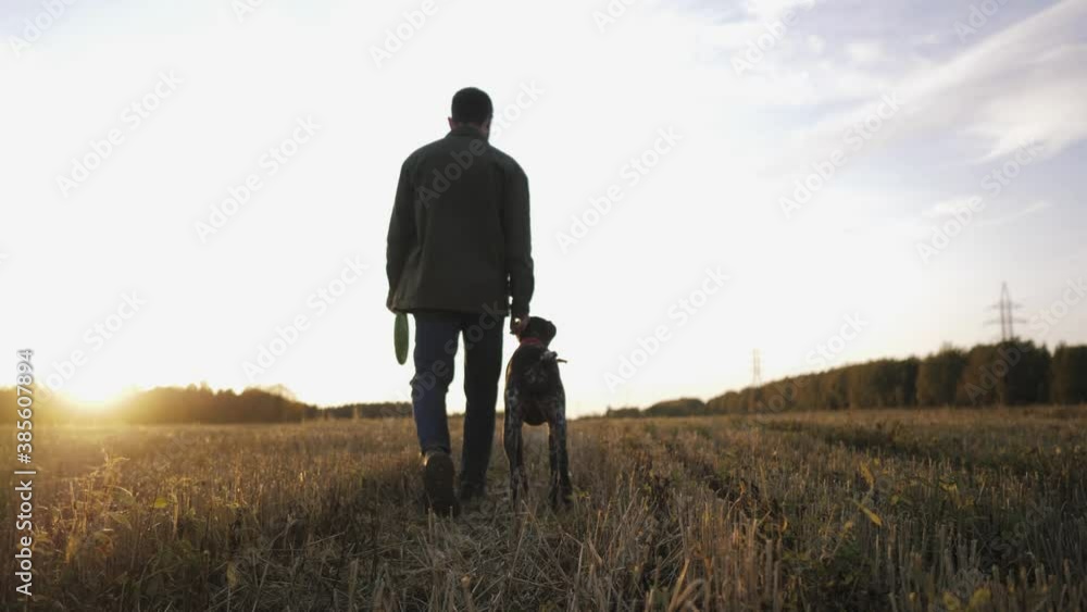 Devoted and loving dog breed Kurtzhaar follows close to his master Devoted and loving dog breed Kurtzhaar follows close to his master