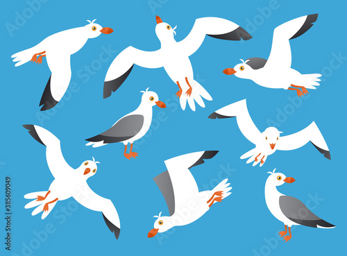 Seabirds, seagull cartoon vector illustration