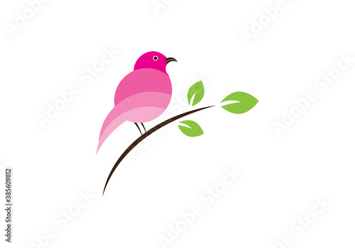 Creative  minimal  Colorful  bird logo And Modern bird logo design concept.