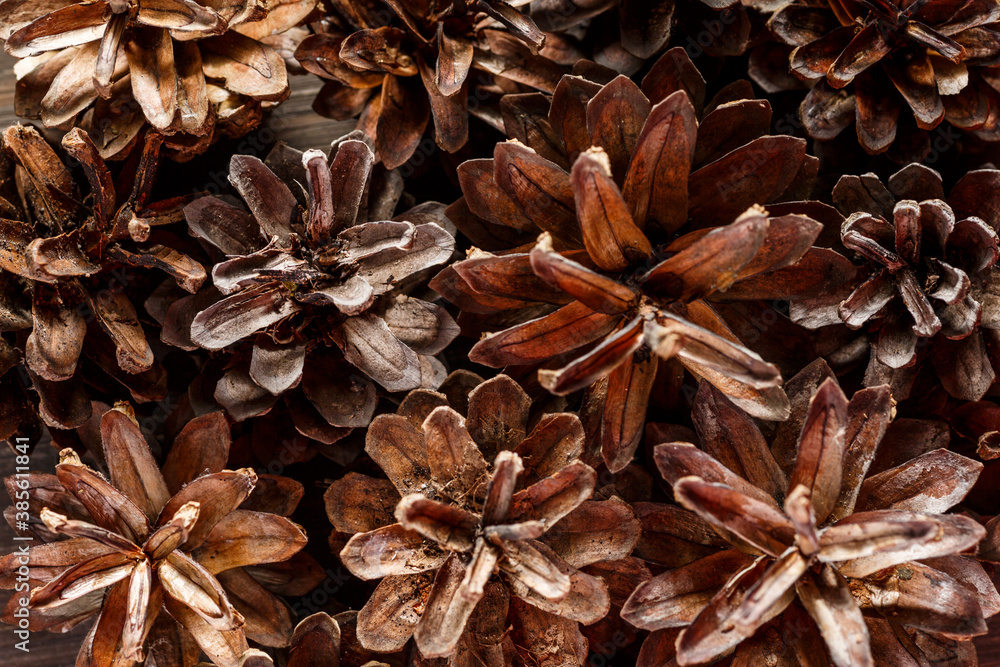 Pine cones on wooden background.Rustic natural wooden background with pine cones Pine cones on wooden background.Rustic natural wooden background with pine cones