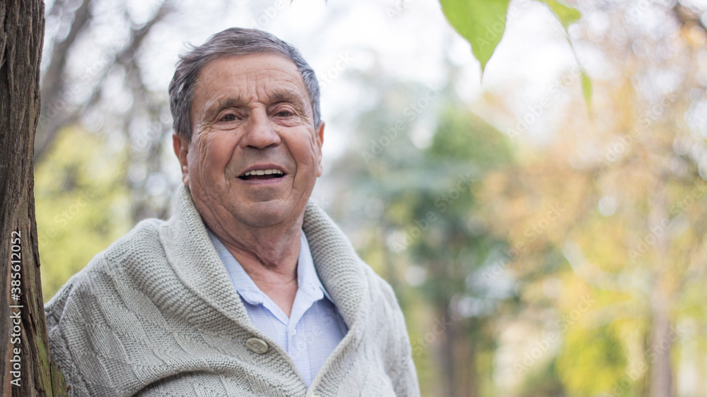 Portrait of happy senior man smiling, in the public park, outdoors. Old man relaxing outdoors and looking at camera. Portrait of elderly man enjoying retirement Portrait of happy senior man smiling, in the public park, outdoors. Old man relaxing outdoors and looking at camera. Portrait of elderly man enjoying retirement