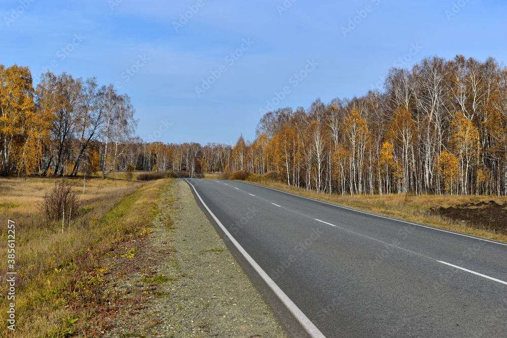 High-speed asphalt highway in the countryside in the forest High-speed asphalt highway in the countryside in the forest