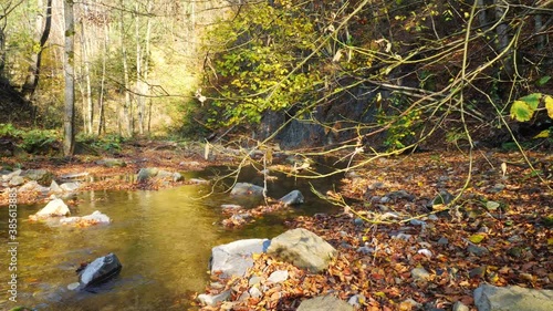 The mountain river with waterfall in autumn forest and the sun shining through the foliage.The leaves changing color and peaceful forest. Autumn nature landscape, colorful leaves on trees. photo