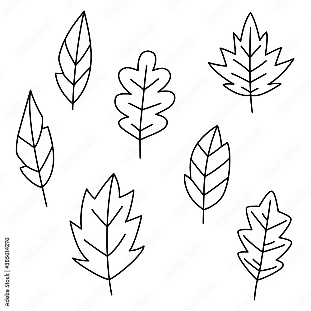 set of doodle leaves. vector