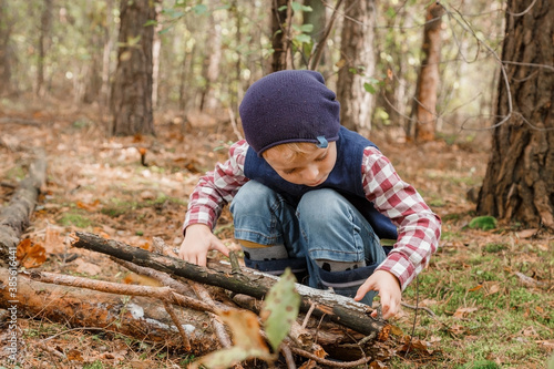 A child collects firewood in the forest. Little lumberjack. The boy is looking for old tree branches. Child and firewood. Autumn time. Branches for the fire.