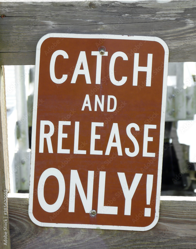 catch-and-release-only-fishing-sign-a-sign-posted-at-a-nature-preserve