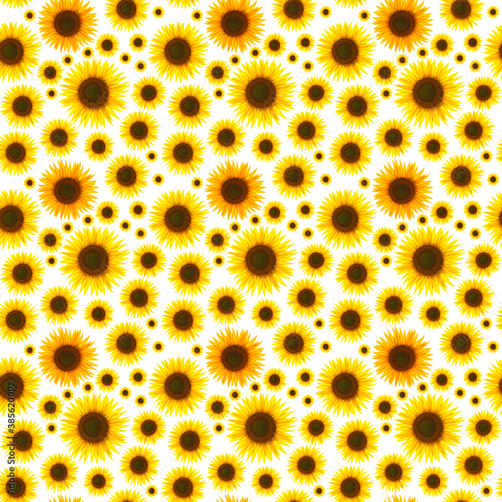 Many isolated baskets of sunflowers on a white background, form an endless seamless texture. Many isolated baskets of sunflowers on a white background, form an endless seamless texture.