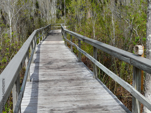 Florida Nature Center Trail with Markers. Numbered markers on a nature trail at Trout Lake Nature Center, Eustis, Florida, correspond to a trail guide detailing the plant life.
