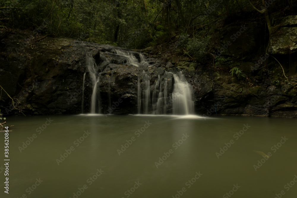 Fototapeta premium waterfall in the forest